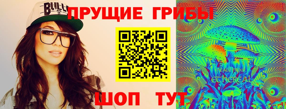 Псилоцибиновые грибы MAGIC MUSHROOMS  Вход с VPN  где найти наркотики  Нижний Тагил 