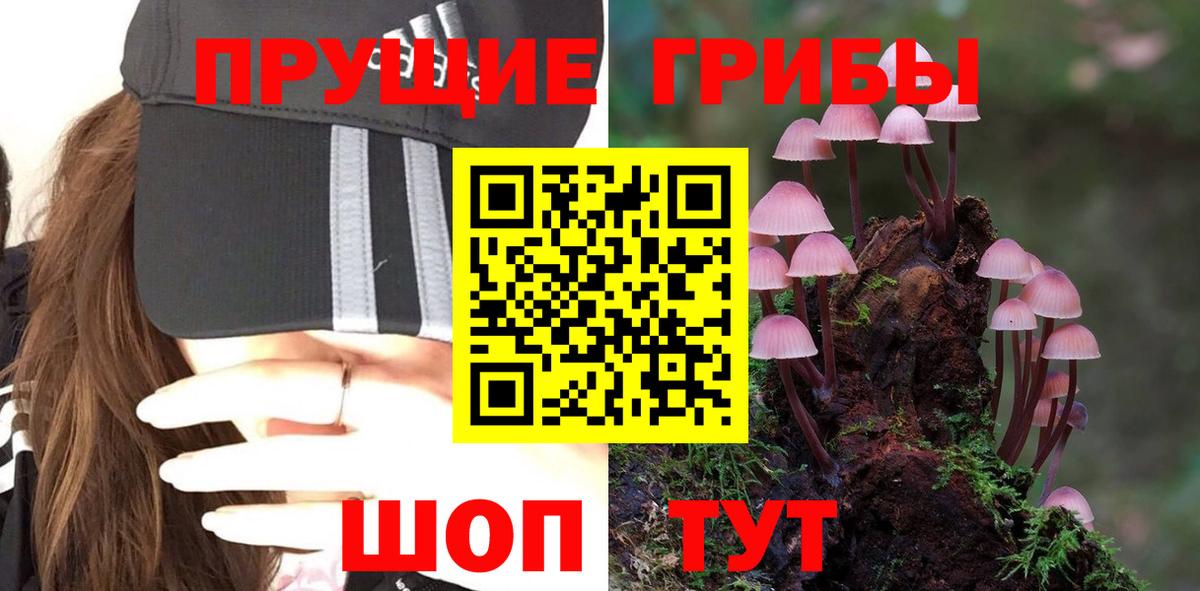 Галлюциногенные грибы ЛСД Нижний Тагил